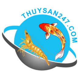 THUYSAN247 Group